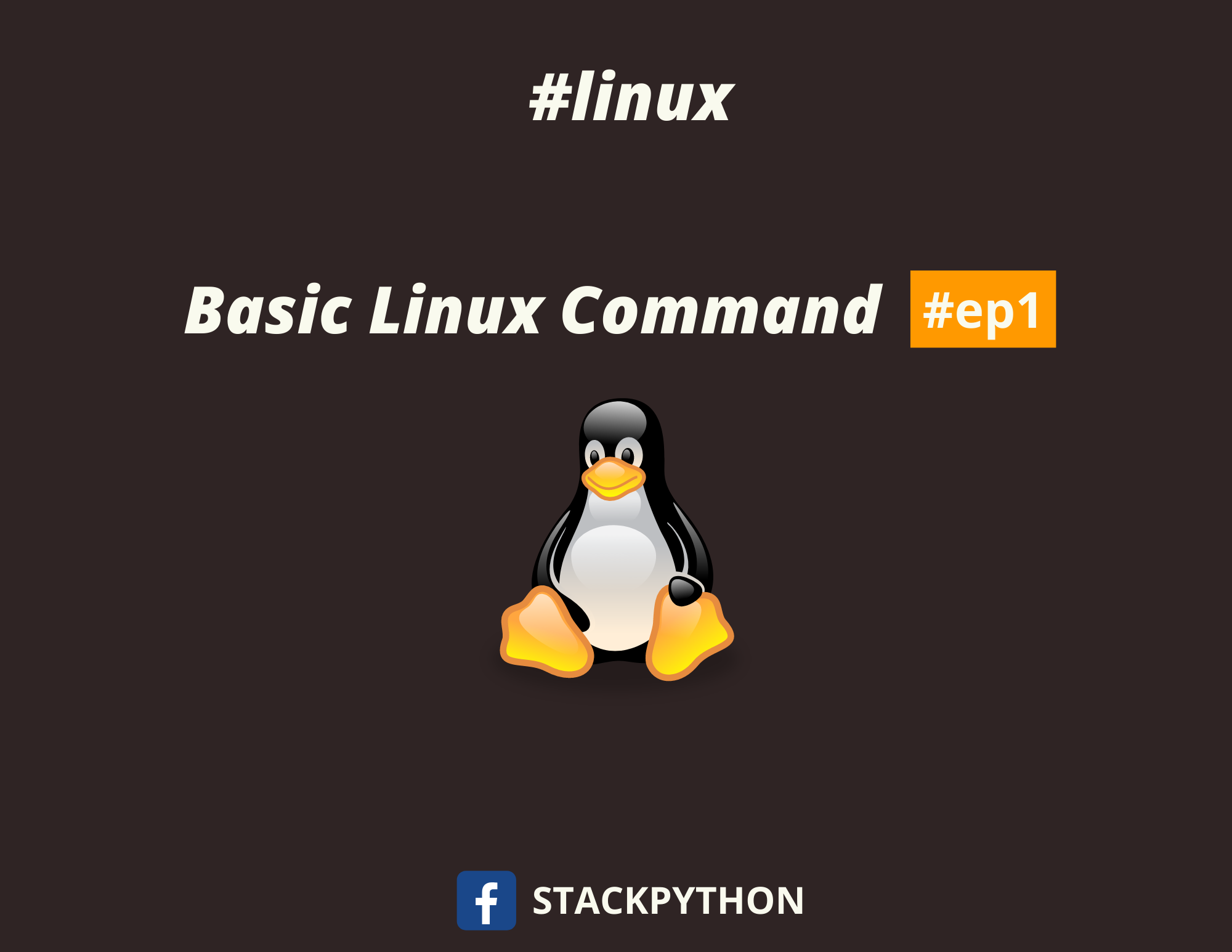 Basic Linux Command 1 เรียนรู้การใช้งานเบื้องต้น | Stackpython